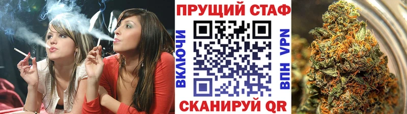 Конопля Дмитров