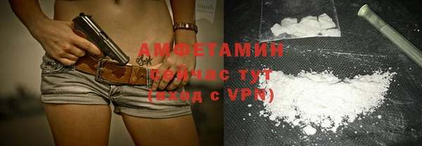 прущие грибы Горняк