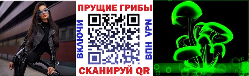 Галлюциногенные грибы мухоморы  Дмитров 